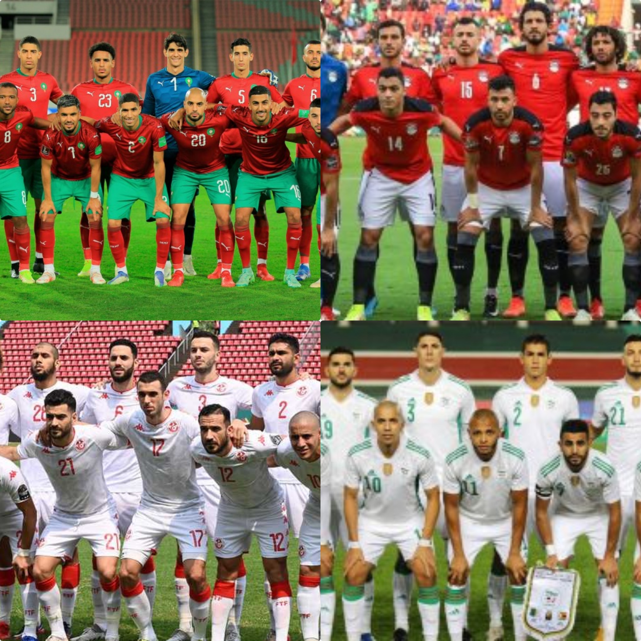 افريقيا تعلن عن ممثليها بكأس العالم قطر 2022