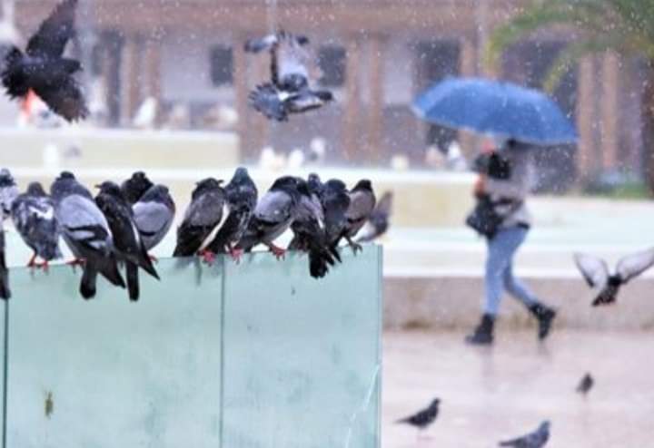 أمطار ورياح قوية بعدد من أقاليم المملكة ابتداء من اليوم الأحد وإلى غاية يوم الثلاثاء