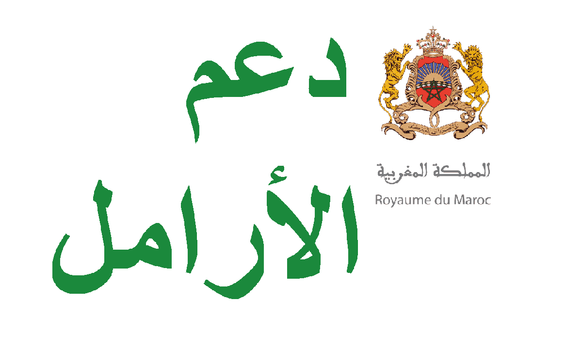 طلب الاستفادة من الدعم المباشر للنساء الأرامل في وضعية هشة الحاضنات لاطفالهن اليتامى