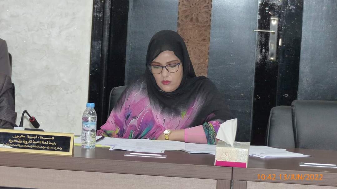 المجلس الإقليمي للطنطان
