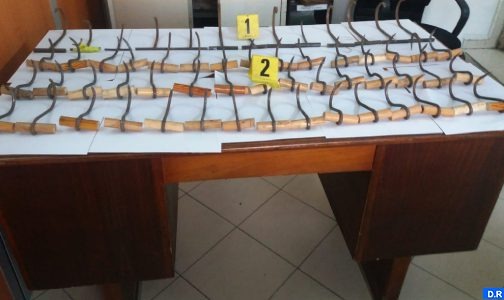 طنجة: حجز 138 أداة حديدية يشتبه في استخدامها في عمليات التسلق والاقتحام المنجزة في إطار المحاولات الجماعية للهجرة غير الشرعية (بلاغ DGSN)