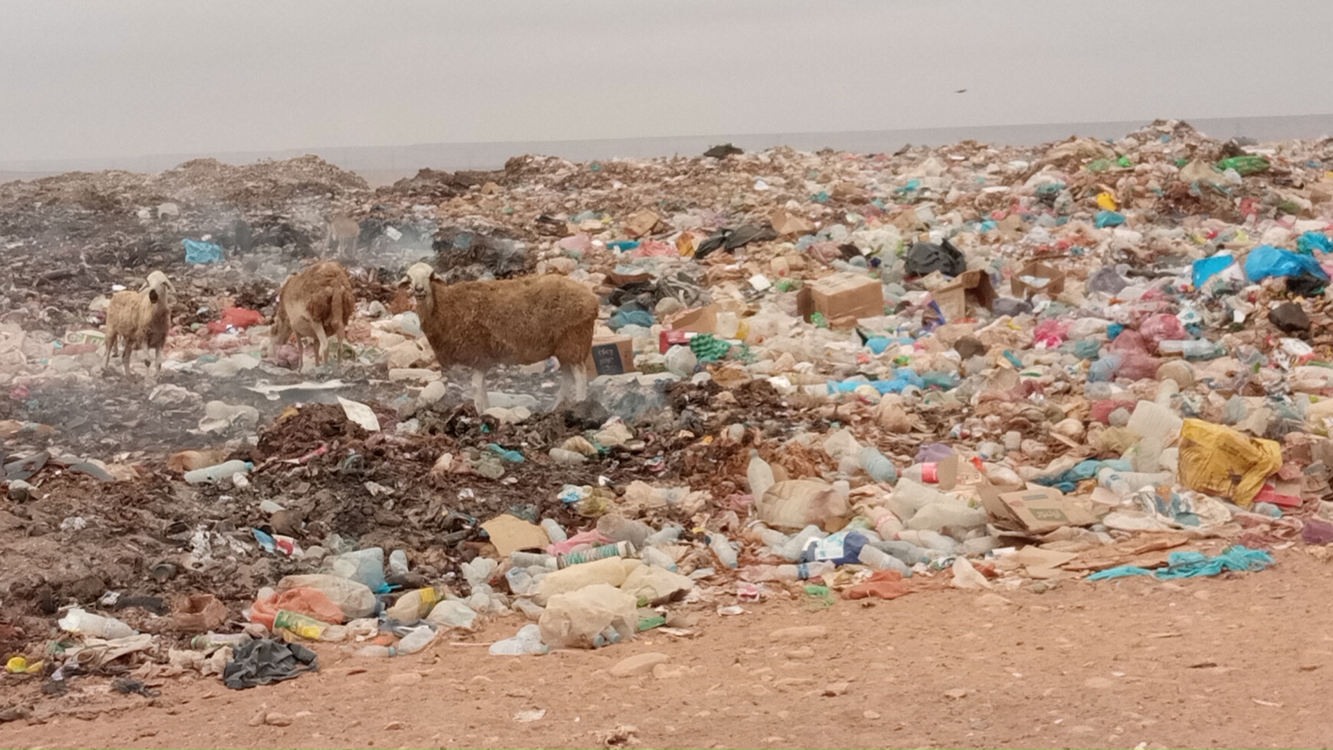 الطنطان: رسالة مستعجلة الى عامل الإقليم..التفاصيل
