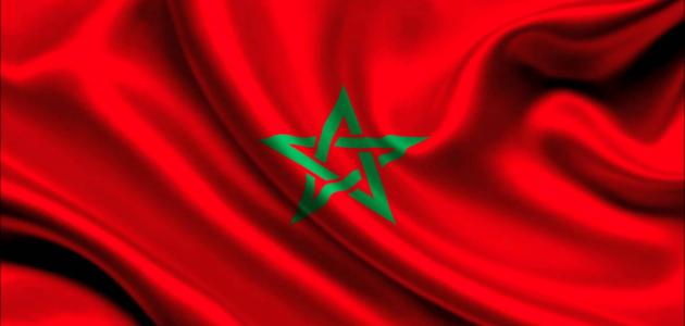 الأمم المتحدة.. اللجنة الرابعة تجدد تأكيد دعمها للعملية السياسية الأممية من أجل تسوية النزاع الإقليمي حول الصحراء المغربية