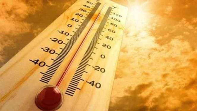 مقال بدون عنوان 9719
