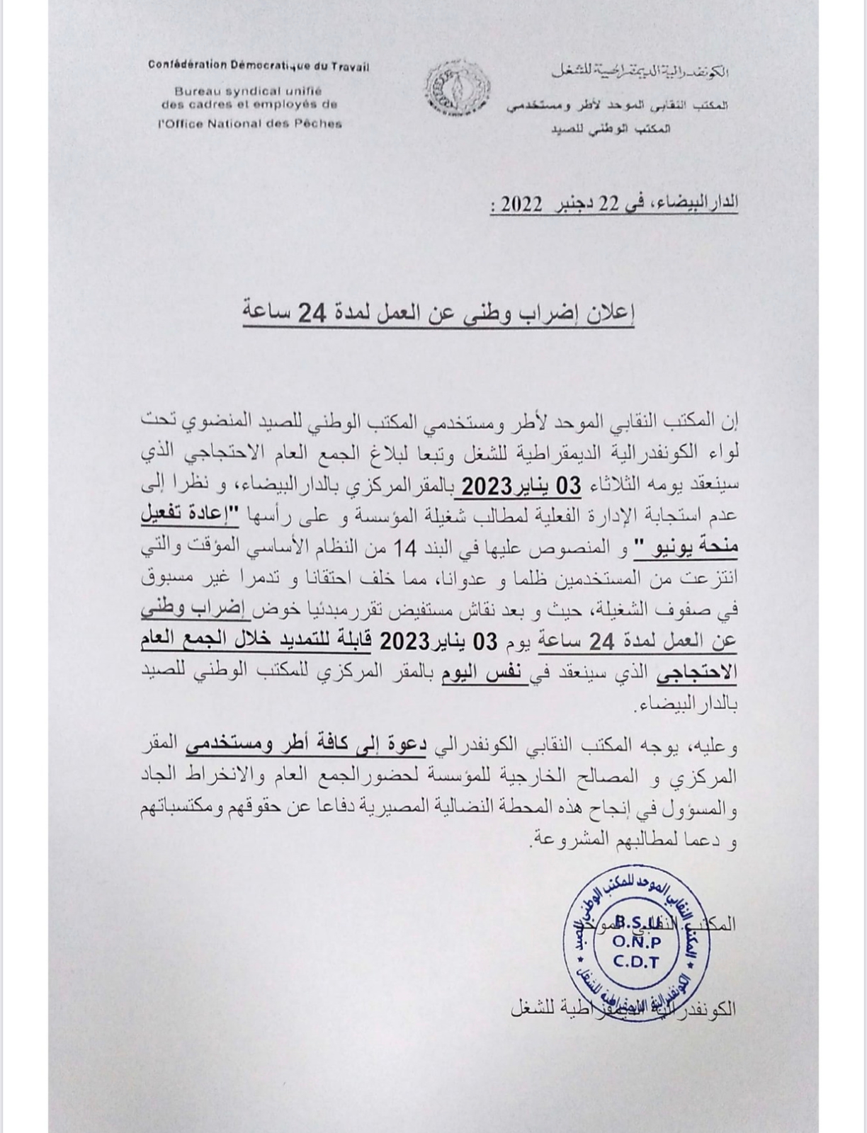نقابة الصيد البحري 