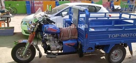 دراجات تريبورتور تخلف 80 قتيلاً ووزير النقل يتحدث عن ضرورة فرض رخصة السياقة