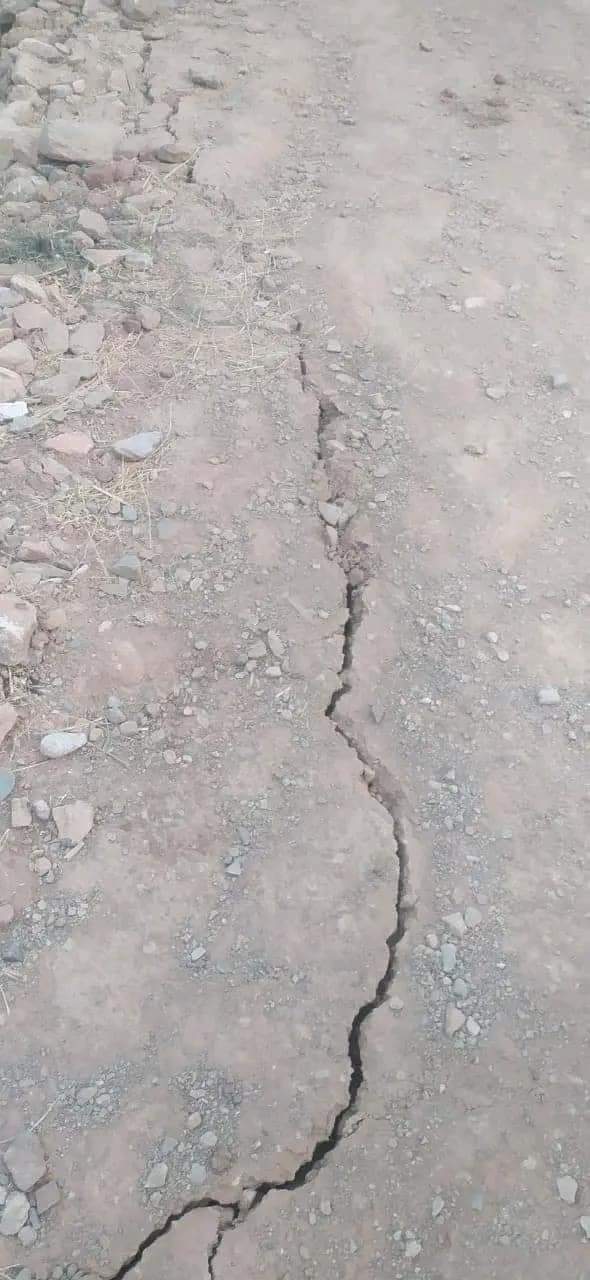 الجزائر تبدي استعدادها لفتح مجالها الجوي أمام الرحلات لنقل المساعدات الإنسانية والجرحى والمصابين