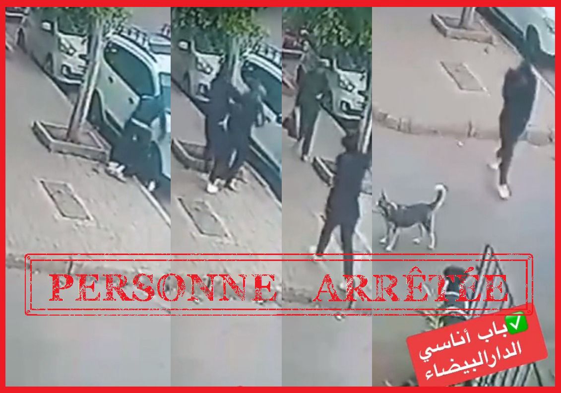 توقيف شخص يشتبه تورطه في قضية تتعلق بالسرقة المقرونة باستعمال العنف
