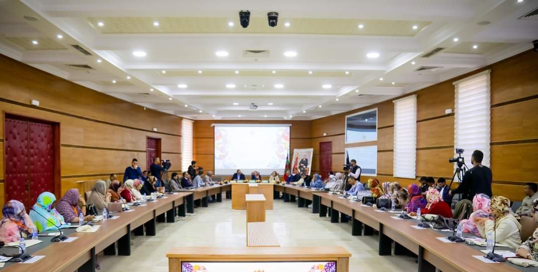 يوم تكويني وتواصلي حول برامج الدعم في مجال الاقتصاد الاجتماعي والتضامني بجهة كلميم واد نون
